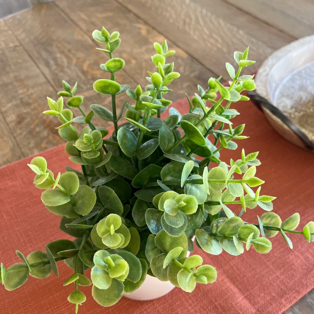Faux eucalyptus Plant in White Pot - Picture 2 of 5